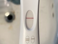 IMG_6508.jpeg