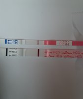 20230629_083506.jpg