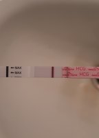 20230630_105422.jpg