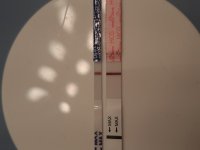 20230727_222601.jpg