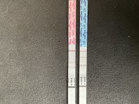 IMG_0842.jpeg