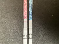 IMG_0838.jpeg