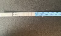 IMG_1032.jpeg
