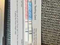 71398603347__DA445FC3-F80A-4537-B330-9E518D36503B.jpeg
