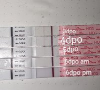PXL_20230819_002940023~2.jpg