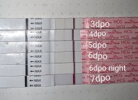 PXL_20230819_140859212~3.jpg