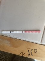 IMG_1099.jpeg