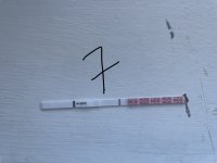 IMG_1102.jpeg