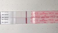 PXL_20230823_122618261.jpg