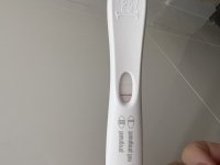 IMG_6483.jpeg