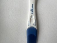 IMG_7045.jpeg