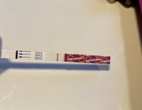 IMG_2897.jpeg