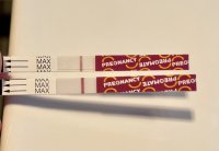 IMG_2994.jpeg