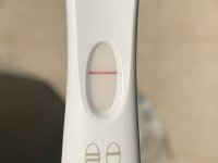 IMG_7056.jpeg