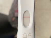 IMG_7074.jpeg