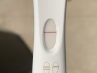 IMG_7167.jpeg