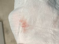 IMG_7176.jpeg