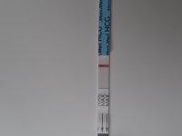 20230930_113537.jpg