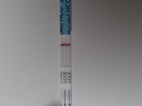 20230930_111733.jpg
