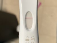 IMG_7397.jpeg