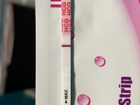 IMG_7493.jpeg