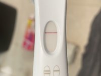 IMG_7510.jpeg