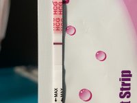 IMG_7513.jpeg