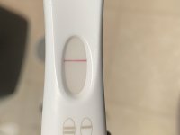 IMG_7525.jpeg
