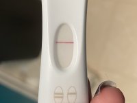 IMG_7533.jpeg