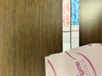IMG_3959.jpeg