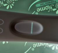 NegativeImage_900e519a-e095-41c2-a992-f28eb62addc6.png
