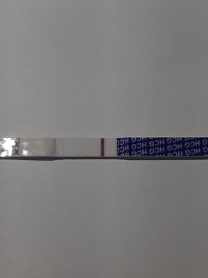 20250516_075857.jpg
