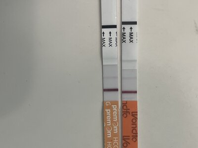 IMG_8014.jpeg