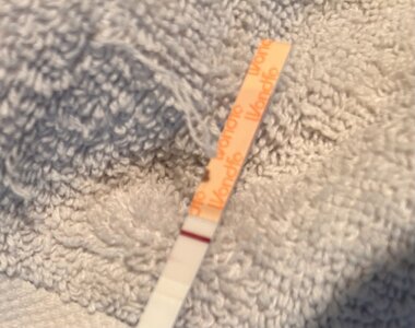 IMG_9345.jpeg
