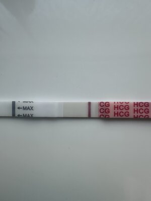 IMG_1537.jpeg