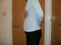 9wks-a.jpg