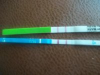 100_1017.jpg