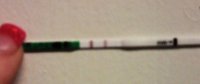 opk.jpg