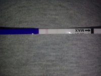 040520101134.jpg