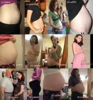 belly growth.jpg