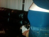 belly 15w5d-b.jpg