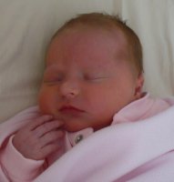 moses basket1.jpg