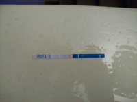 100_1085.jpg
