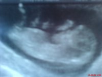 12 week.jpg