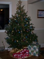 Christmas 2008 004.jpg