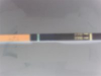 PICT3706.jpg