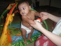 little mika standing.jpg