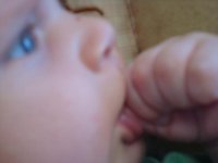 DSC00787.jpg