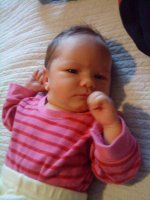 DSC00019.jpg