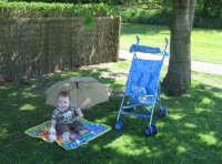Picnic 1.JPG